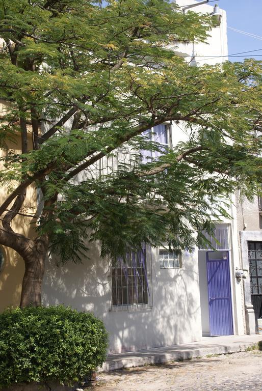 סאן מיגל דה אלנדה Hotelitto San Miguel מראה חיצוני תמונה